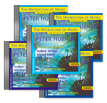 Peter Hübner, Meditative Aphorisms Instrumental – Orchestra No. 5