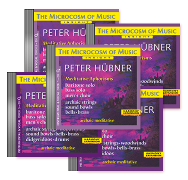 Peter Hübner, Meditative Aphorisms Men’s Choir –  Orchestra 5