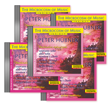 Peter Hübner, Meditative Aphorisms Women’s Choir –  Orchestra 5